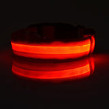 LED Pet Safety Collar