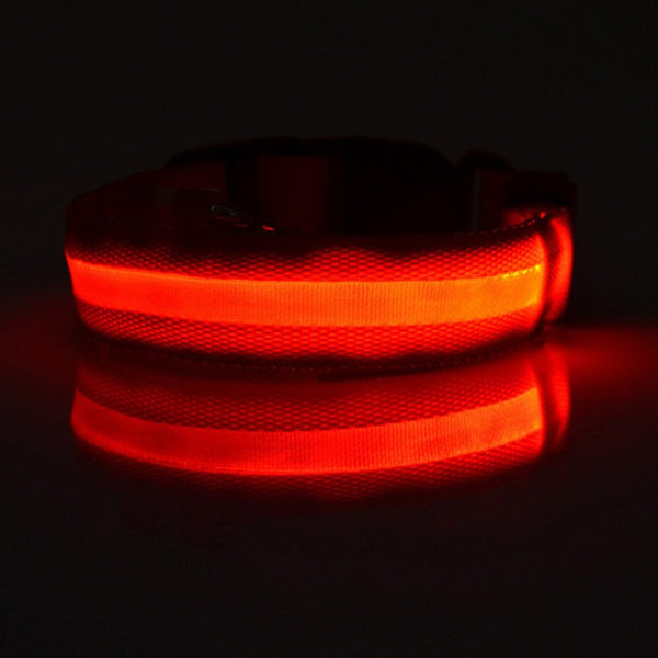 LED Pet Safety Collar