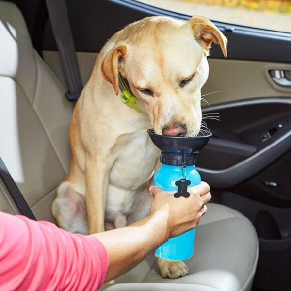 Pet Dog Out Drinking Water Cup