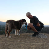 Pet Dog Out Drinking Water Cup