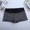 Summer Breathable Leisure Sports Yoga Shorts