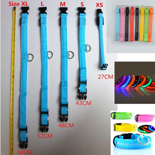 LED Pet Safety Collar