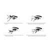 Magnetic False Eyelash