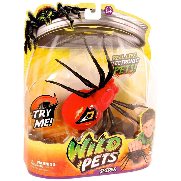 Wild Pets Spider - Eyegore