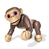 Zoomer Chimp