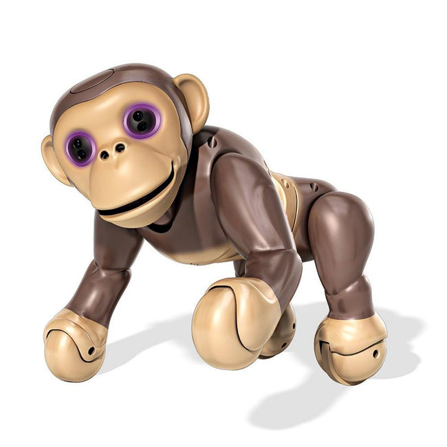 Zoomer Chimp